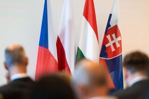 5_college_of_visegrad+_2025-2